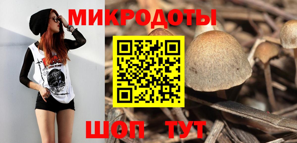 Псилоцибиновые грибы Cubensis Благодарный