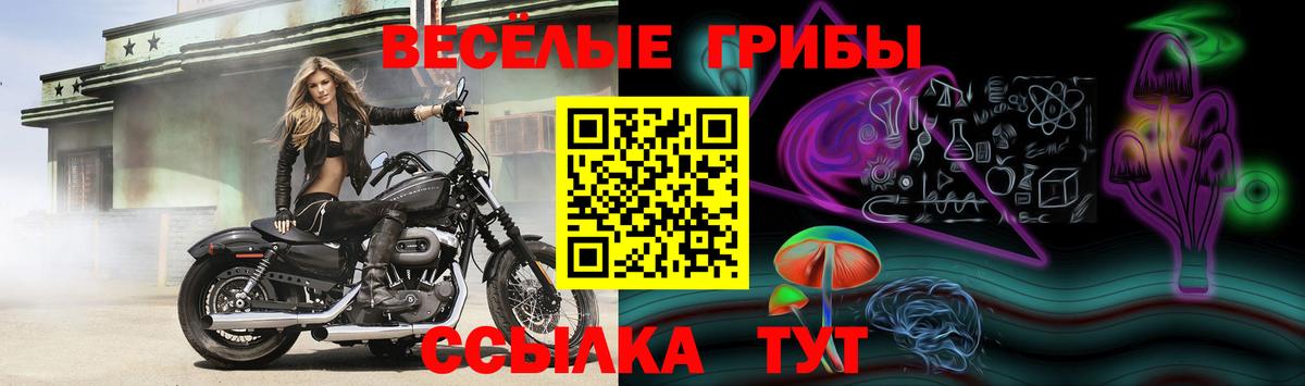 Благодарный  Галлюциногенные грибы прущие грибы  Вход с VPN  Галлюциногенные грибы Psilocybe 